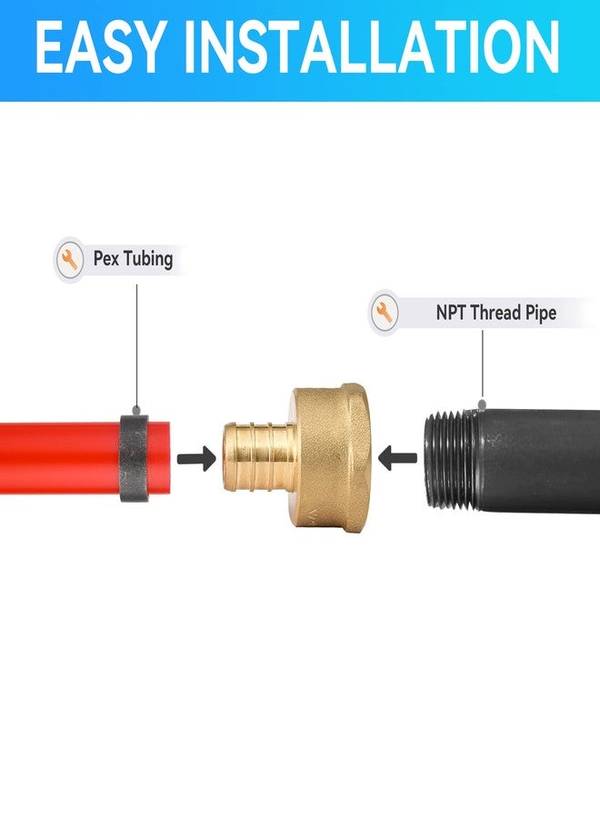 GUOFIS (Pack of 10) PEX 3/4" x 3/4" NPT Female Threaded Adapter,Brass Pex Crimp Adapters Fitting for PEX Pipes in Plumbing Jobs(PEX1807044) - Image 3